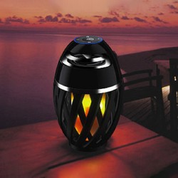Portable Outdoor Flame Speakers For Led