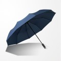 Bensche Auto Umbrella