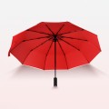 Dream-tour Auto Umbrella