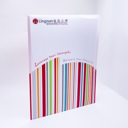  A4塑膠文件夾(打開式) - Lingnan