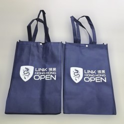 Non-woven shopping bag -LINK